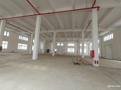 全新獨(dú)棟廠房，每棟3500平，共4棟，層高8米，5噸貨梯